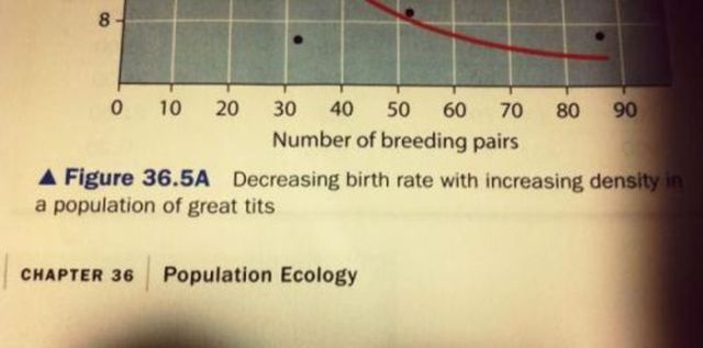 Pictures for Those With Dirty Minds