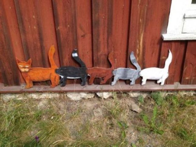 Pictures for Those With Dirty Minds