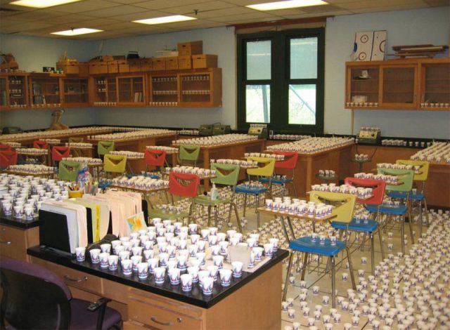 morning picdump 56 pics 22.html - 56 HD Photos | Premium Gallery 2014