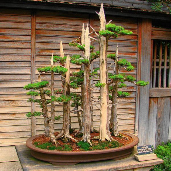 morning picdump 56 pics 22.html - 56 HD Photos | Premium Gallery 2014