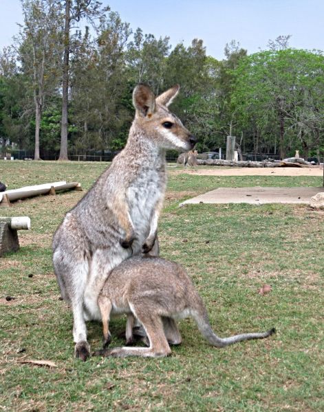 morning picdump 56 pics 22.html - 56 HD Photos | Premium Gallery 2014