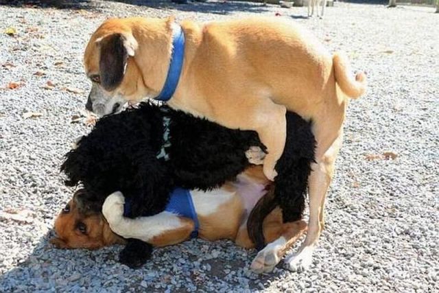 morning picdump 56 pics 22.html - 56 HD Photos | Premium Gallery 2014