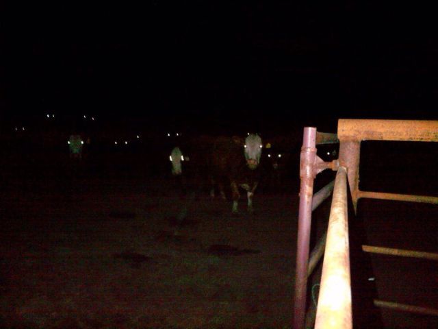 morning picdump 56 pics 22.html - 56 HD Photos | Premium Gallery 2014