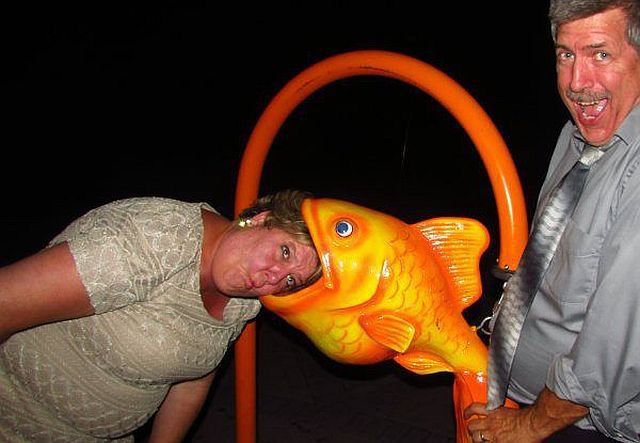 morning picdump 51 pics 1.html - 51 HD Photos | Premium Gallery 2014