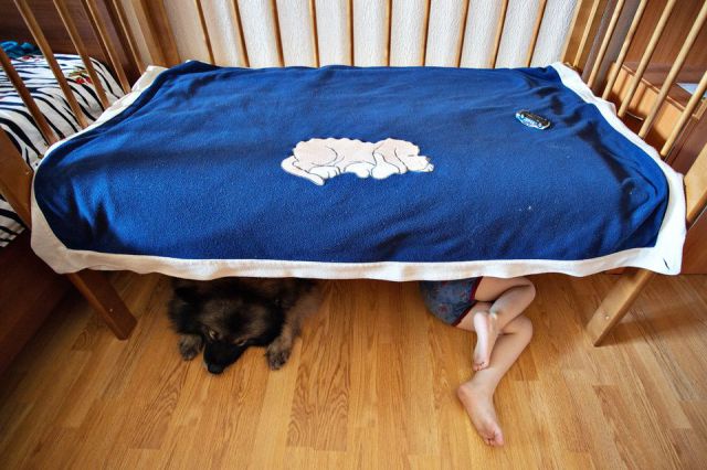 morning picdump 51 pics 1.html - 51 HD Photos | Premium Gallery 2014