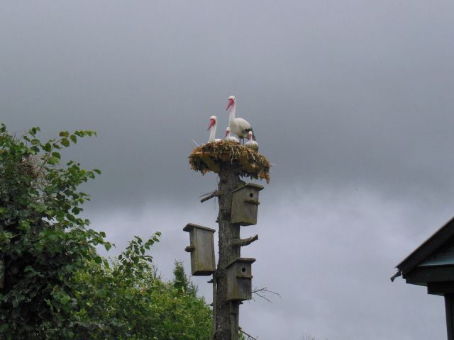 morning picdump 51 pics 1.html - 51 HD Photos | Premium Gallery 2014