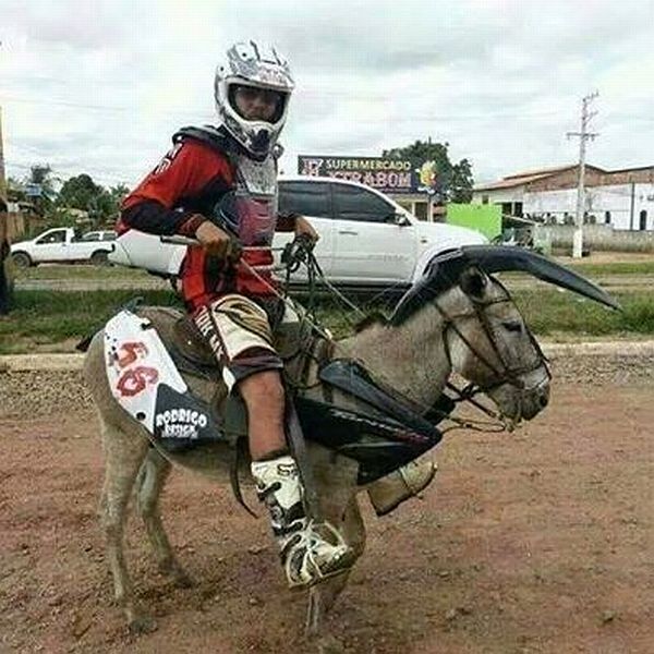 morning picdump 51 pics 1.html - 51 HD Photos | Premium Gallery 2014