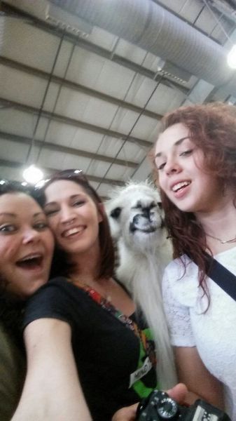 morning picdump 51 pics 1.html - 51 HD Photos | Premium Gallery 2014