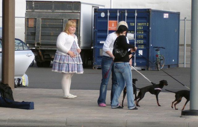 morning picdump 55 pics 4.html - 55 HD Photos | Premium Gallery 2014