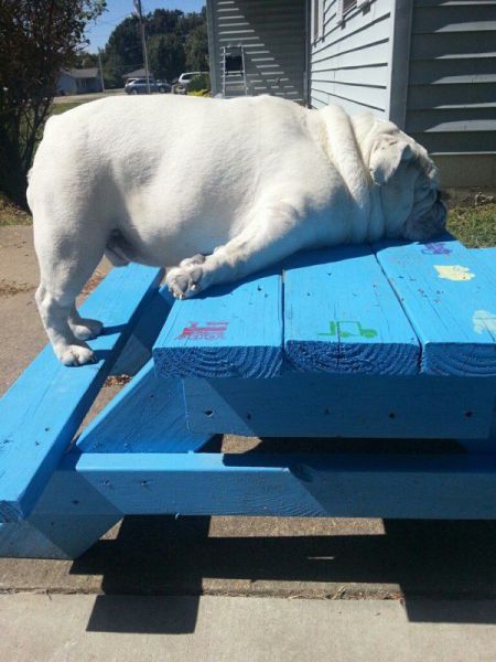 morning picdump 55 pics 4.html - 55 HD Photos | Premium Gallery 2014