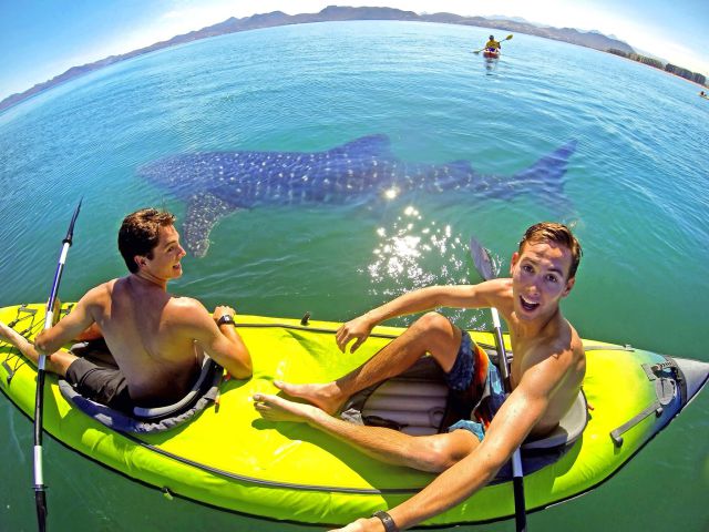 morning picdump 55 pics 4.html - 55 HD Photos | Premium Gallery 2014