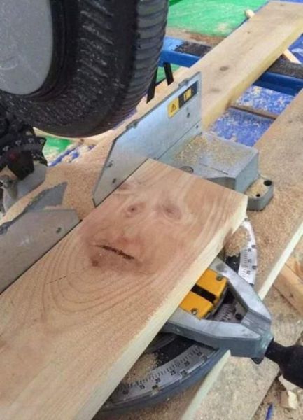 morning picdump 55 pics 4.html - 55 HD Photos | Premium Gallery 2014