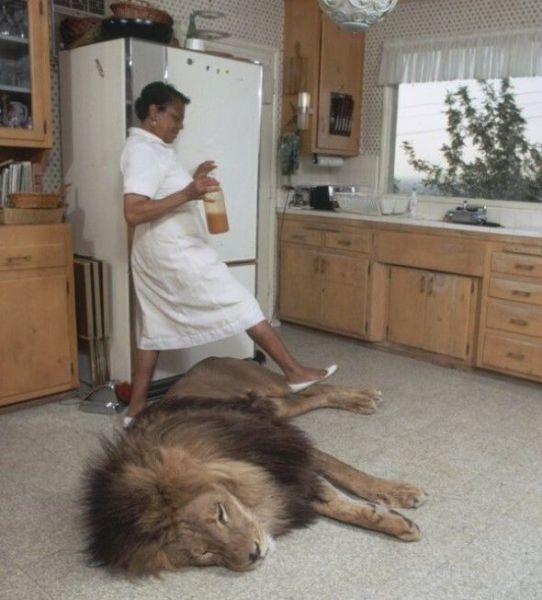 Daily Picdump