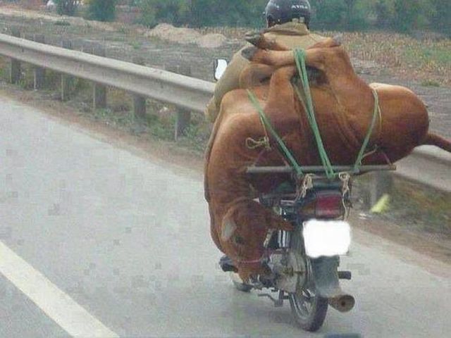 daily picdump 96 pics 21.html - 96 HD Photos | Premium Gallery 2014