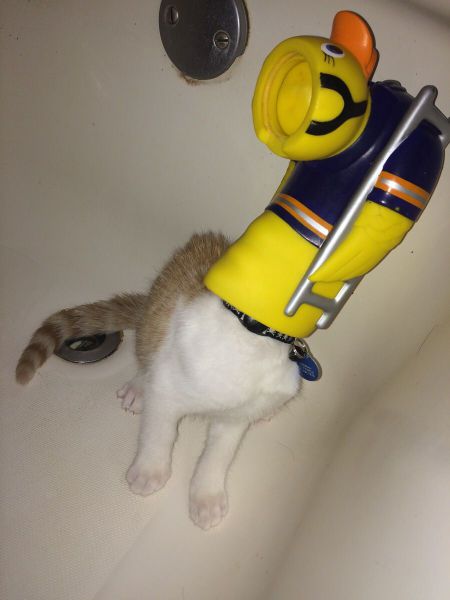 daily picdump 96 pics 21.html - 96 HD Photos | Premium Gallery 2014