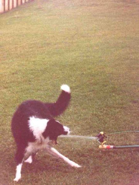 morning picdump 57 pics 24.html - 57 HD Photos | Premium Gallery 2014