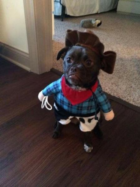 morning picdump 57 pics 24.html - 57 HD Photos | Premium Gallery 2014