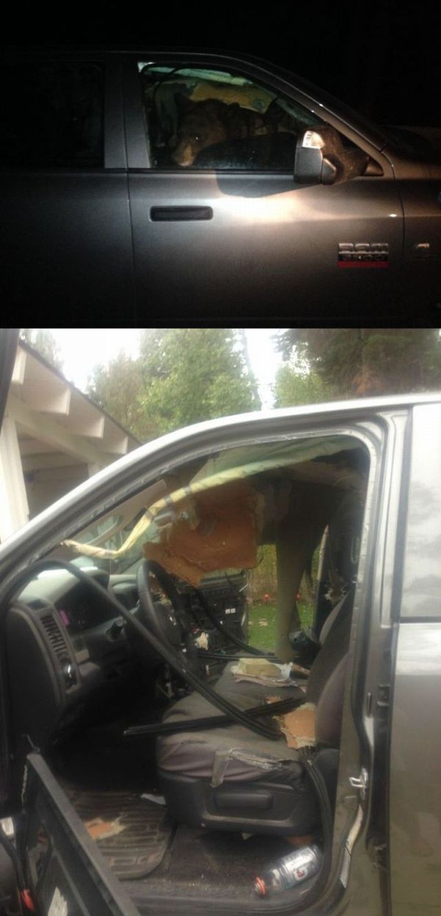 morning picdump 57 pics 24.html - 57 HD Photos | Premium Gallery 2014