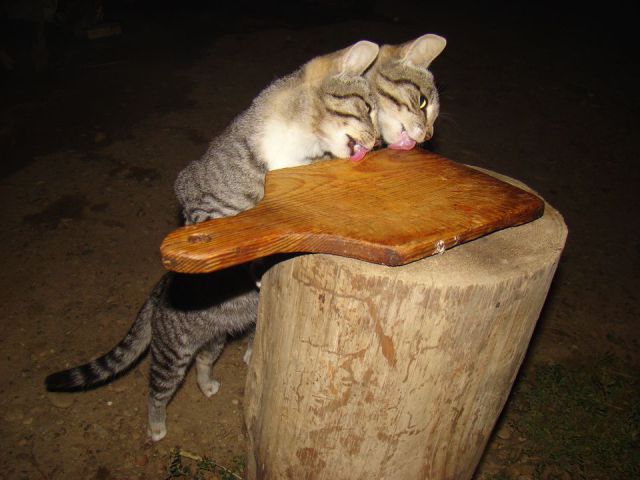 morning picdump 57 pics 26.html - 57 HD Photos | Premium Gallery 2014