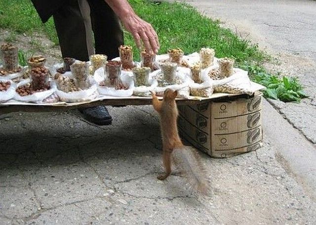 morning picdump 57 pics 26.html - 57 HD Photos | Premium Gallery 2014