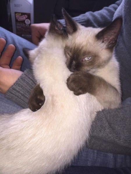 morning picdump 57 pics 26.html - 57 HD Photos | Premium Gallery 2014