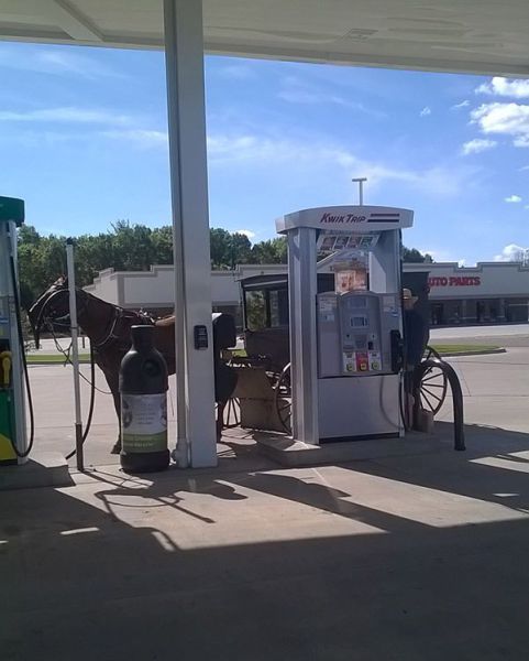 morning picdump 57 pics 26.html - 57 HD Photos | Premium Gallery 2014