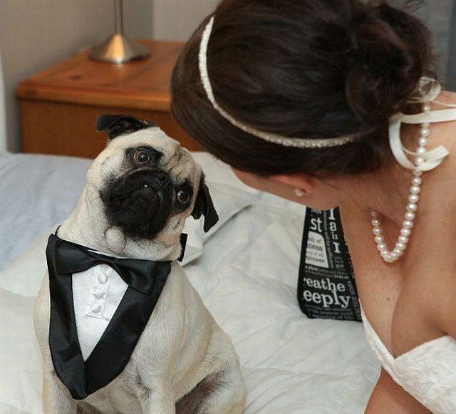 morning picdump 57 pics 26.html - 57 HD Photos | Premium Gallery 2014