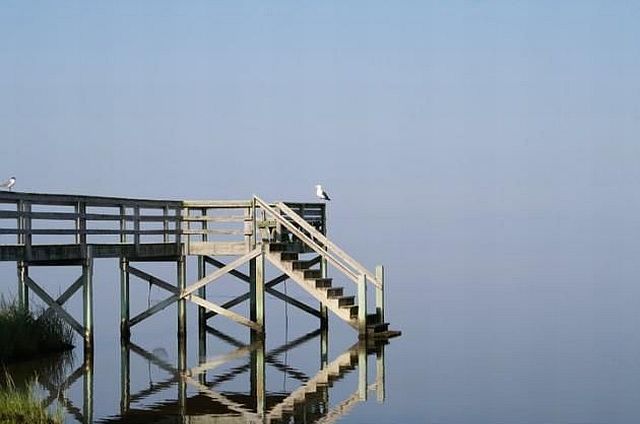 morning picdump 57 pics 26.html - 57 HD Photos | Premium Gallery 2014