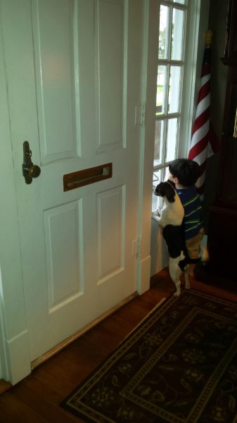 morning picdump 57 pics 26.html - 57 HD Photos | Premium Gallery 2014