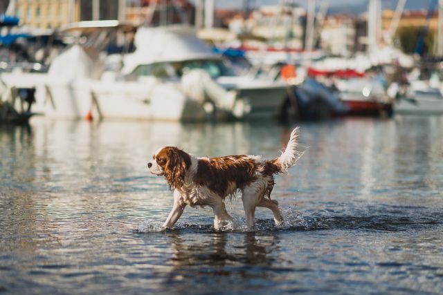 morning picdump 57 pics 26.html - 57 HD Photos | Premium Gallery 2014