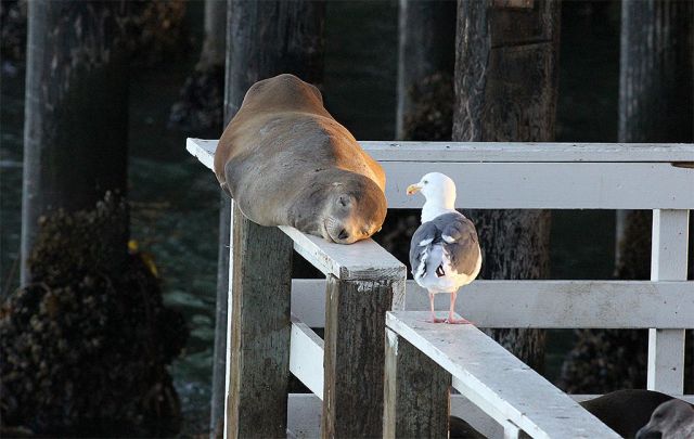 morning picdump 57 pics 26.html - 57 HD Photos | Premium Gallery 2014