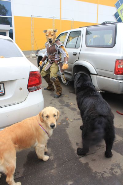 morning picdump 57 pics 26.html - 57 HD Photos | Premium Gallery 2014