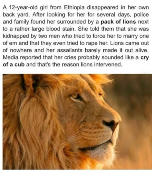 morning picdump 55 pics 53.html - 55 HD Photos | Premium Gallery 2014