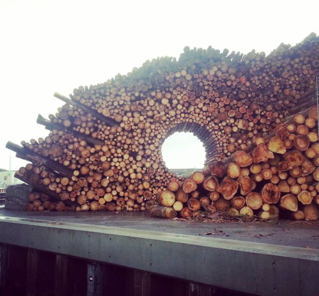 morning picdump 55 pics 53.html - 55 HD Photos | Premium Gallery 2014