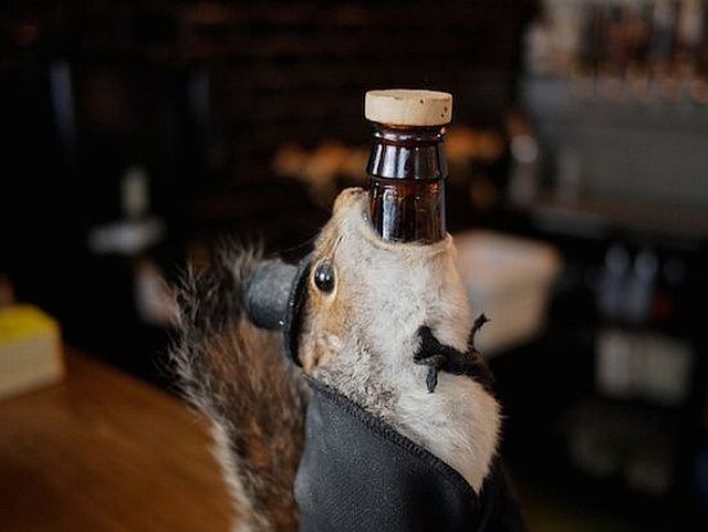 morning picdump 55 pics 55.html - 55 HD Photos | Premium Gallery 2014