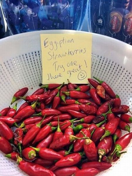 morning picdump 55 pics 55.html - 55 HD Photos | Premium Gallery 2014