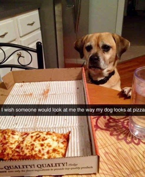 morning picdump 55 pics 55.html - 55 HD Photos | Premium Gallery 2014