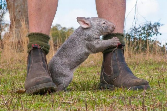 morning picdump 55 pics 21.html - 55 HD Photos | Premium Gallery 2014