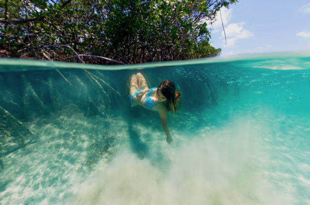 This Woman Could Be a Real Life Mermaid