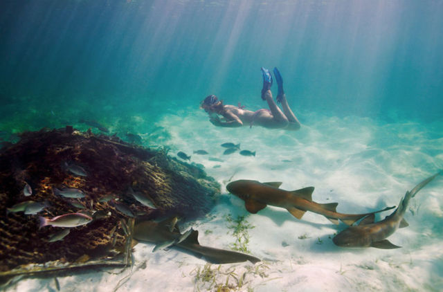 This Woman Could Be a Real Life Mermaid