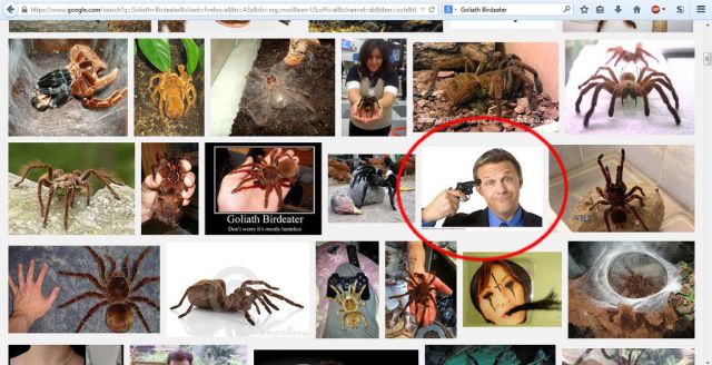 morning picdump 56 pics 4.html - 56 HD Photos | Premium Gallery 2014