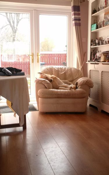 morning picdump 56 pics 4.html - 56 HD Photos | Premium Gallery 2014