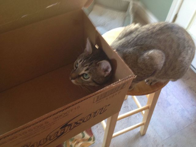 morning picdump 56 pics 4.html - 56 HD Photos | Premium Gallery 2014