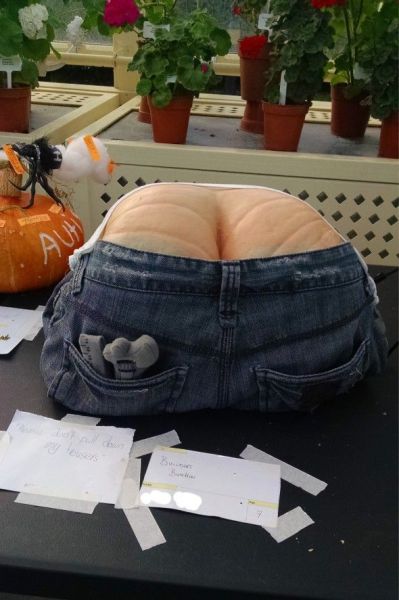 morning picdump 61 pics 5.html - 61 HD Photos | Premium Gallery 2014