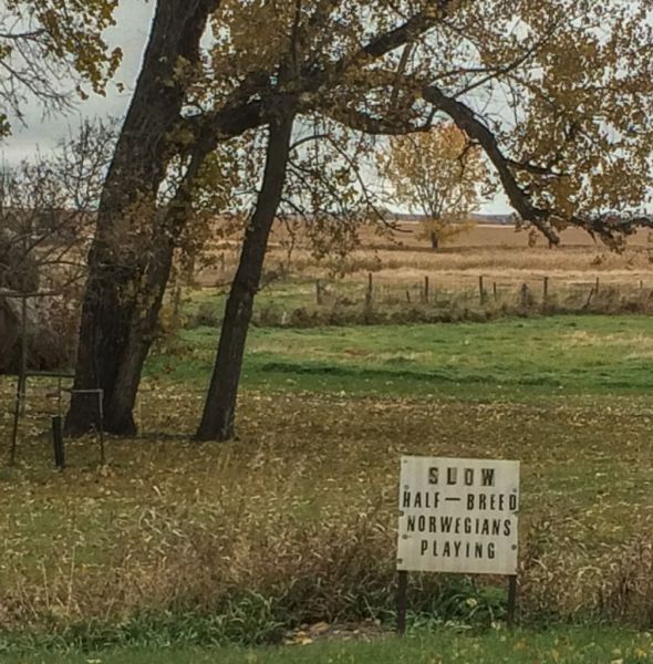 morning picdump 61 pics 5.html - 61 HD Photos | Premium Gallery 2014