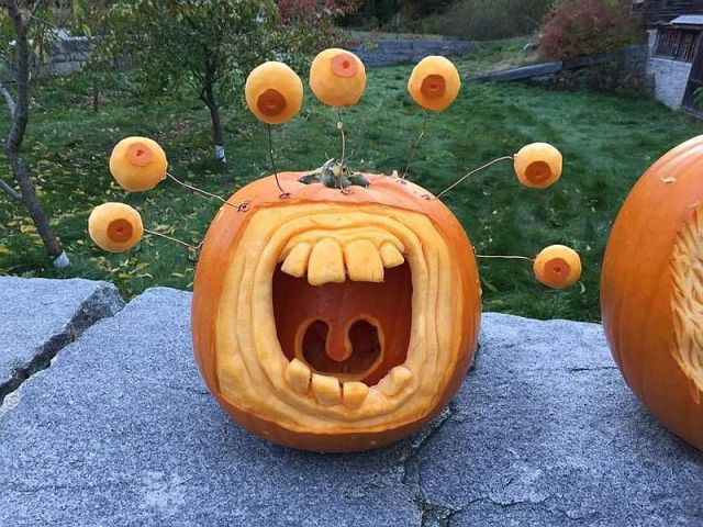 morning picdump 61 pics 5.html - 61 HD Photos | Premium Gallery 2014