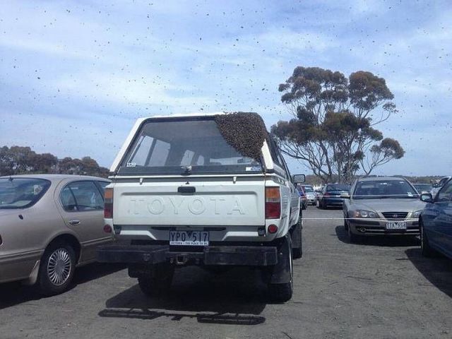 morning picdump 61 pics 5.html - 61 HD Photos | Premium Gallery 2014