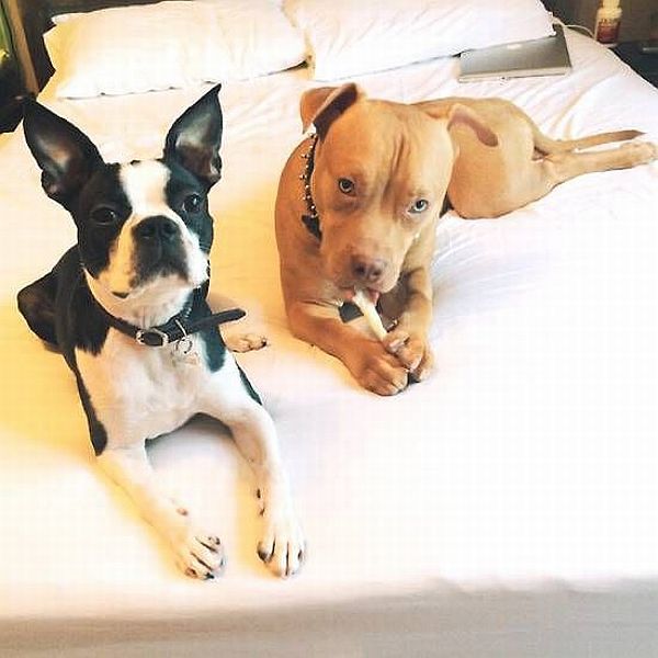 morning picdump 61 pics 5.html - 61 HD Photos | Premium Gallery 2014