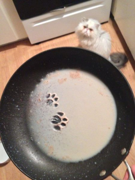 morning picdump 61 pics 5.html - 61 HD Photos | Premium Gallery 2014