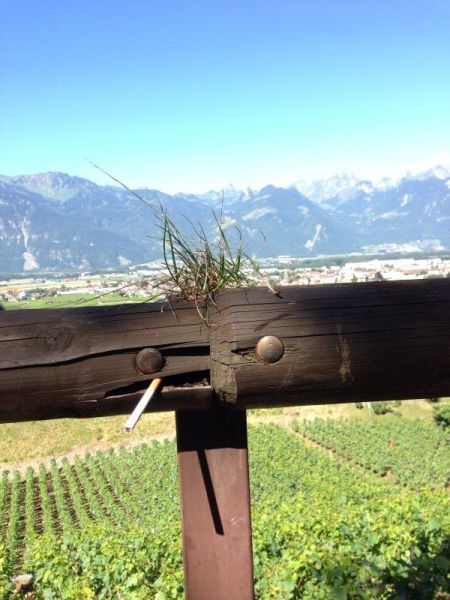 morning picdump 61 pics 5.html - 61 HD Photos | Premium Gallery 2014